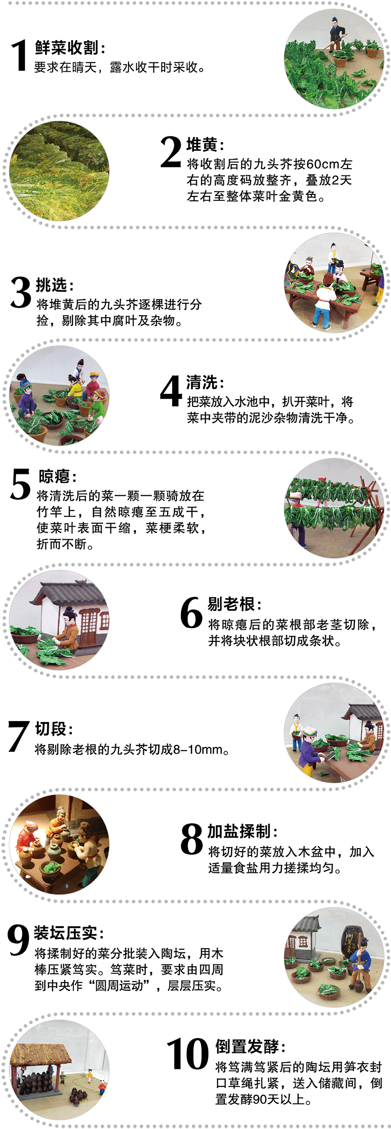 古法倒笃菜技艺流程
